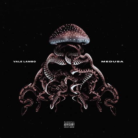 camicia versace medusa canzone|Significato di Medusa RMX di Vale Lambo (Ft. Guè) .